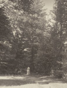  autorstwa Alfred Stieglitz