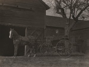 Koń i powóz autorstwa Alfred Stieglitz