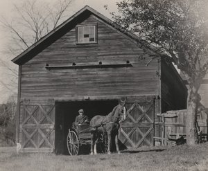  autorstwa Alfred Stieglitz