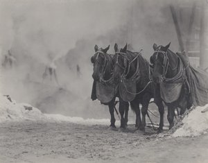 Konie, Nowy Jork autorstwa Alfred Stieglitz