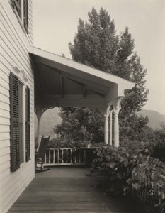 Dom, liście i drzewo autorstwa Alfred Stieglitz