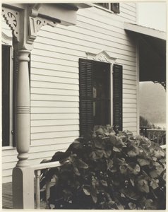 Dom i liście winogron autorstwa Alfred Stieglitz