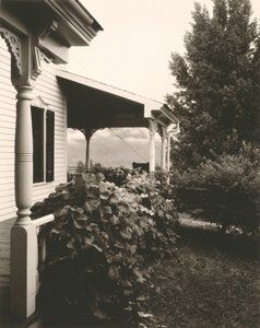 Dom i liście winogron autorstwa Alfred Stieglitz