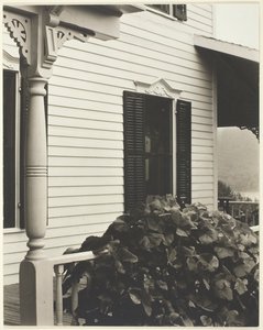 Dom i liście winogron, 1934. autorstwa Alfred Stieglitz