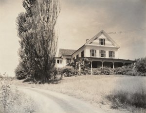  autorstwa Alfred Stieglitz