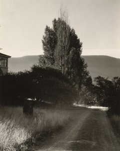  autorstwa Alfred Stieglitz
