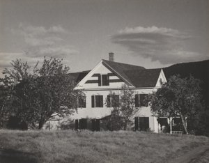 Dom i drzewa, Lake George autorstwa Alfred Stieglitz