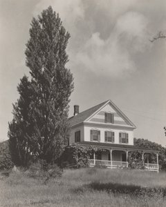 Dom na wzgórzu, Lake George autorstwa Alfred Stieglitz