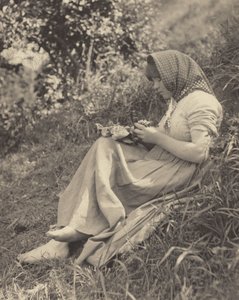 W pełnym słońcu autorstwa Alfred Stieglitz