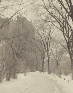 W parku autorstwa Alfred Stieglitz