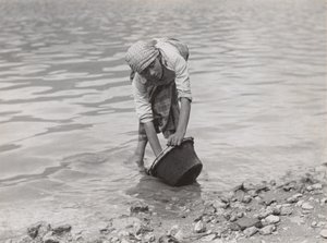  autorstwa Alfred Stieglitz