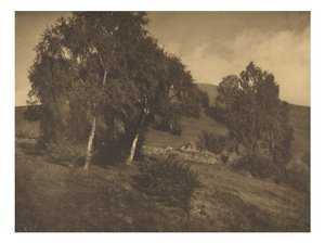 [Krajobraz, Tyrol] autorstwa Alfred Stieglitz