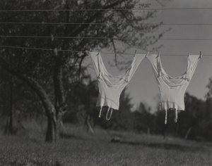  autorstwa Alfred Stieglitz