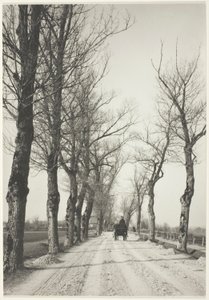 Listopadowe Dni autorstwa Alfred Stieglitz