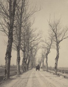  autorstwa Alfred Stieglitz