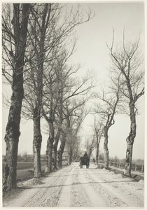 Dni Listopadowe, 1887, druk 192039. autorstwa Alfred Stieglitz