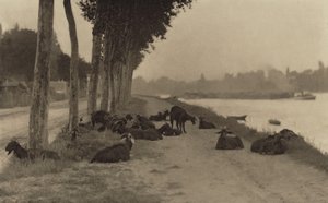Nad Sekwaną — w pobliżu Paryża autorstwa Alfred Stieglitz