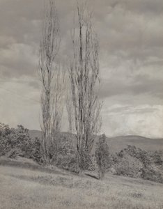  autorstwa Alfred Stieglitz