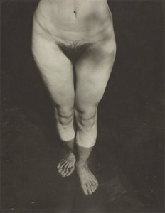 Rebecca Salsbury Strand, 1922. autorstwa Alfred Stieglitz