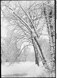Pejzaż śnieżny, Berlin autorstwa Alfred Stieglitz