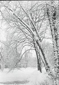 Pejzaż śnieżny, Berlin, 188892. autorstwa Alfred Stieglitz