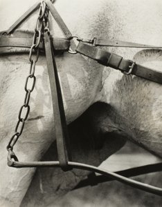 Duchowa Ameryka: Pieśni Nieba A1 autorstwa Alfred Stieglitz