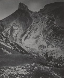  autorstwa Alfred Stieglitz