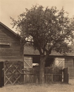  autorstwa Alfred Stieglitz