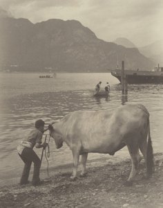 Niechciana kąpiel autorstwa Alfred Stieglitz