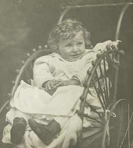 Bez tytułu Howard Schubart in Carriage, 1893. autorstwa Alfred Stieglitz