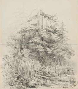 Miejsce pochówku Indian, Oregon, 1841 (grafit na dwóch zszytych kartkach szkicownika na kremowym papierze tkanym) autorstwa Alfred Thomas Agate