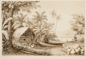Grobowce na wyspie Muthuata, Fidżi (wc na papierze) autorstwa Alfred Thomas Agate