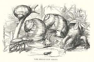 Hans Christian Andersen: Szczęśliwa rodzina (litografia) autorstwa Alfred Walter (after) Bayes