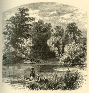 „Grupa Wysepek”, 1874.