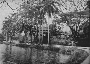 Kandy - Malowniczy zakątek jeziora, c1890, 1910 autorstwa Alfred William Amandus Plate