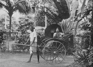 Tamilka w rikszy, c1890, 1910