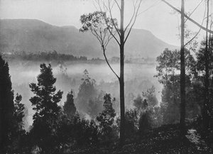 Wczesny poranek wstaje mgła w Nuwara Eliya, c1890, 1910 autorstwa Alfred William Amandus Plate