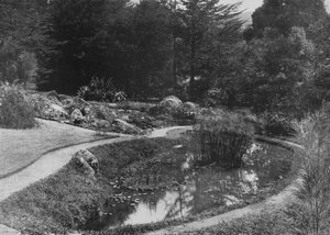 Ogród skalny, ogrody Hakgalla, Nuwara Eliya, c1890, 1910 autorstwa Alfred William Amandus Plate