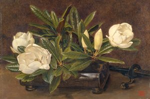 "Magnolie", 1867-1920