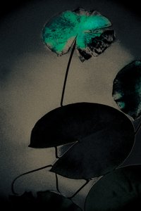 Szmaragdowa wiosna, z serii Wiosna, 2020 (ręcznie malowane zdjęcie)