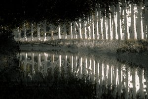 Rendering, 2018 (ręcznie malowane zdjęcie)