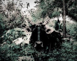 The Lodge Near Periyar, 2020 (zdjęcie malowane)