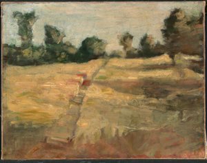 Pole autorstwa Alice Pike Barney