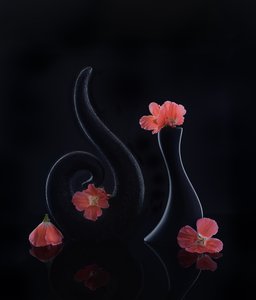  autorstwa Alice Sheng