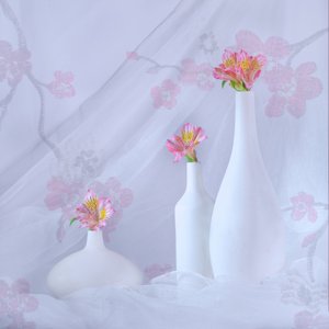  autorstwa Alice Sheng