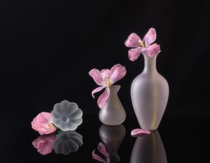  autorstwa Alice Sheng