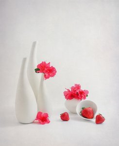  autorstwa Alice Sheng