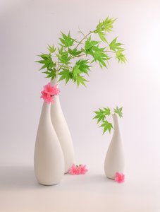 autorstwa Alice Sheng
