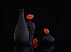  autorstwa Alice Sheng