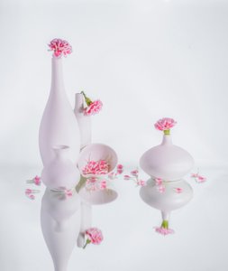  autorstwa Alice Sheng